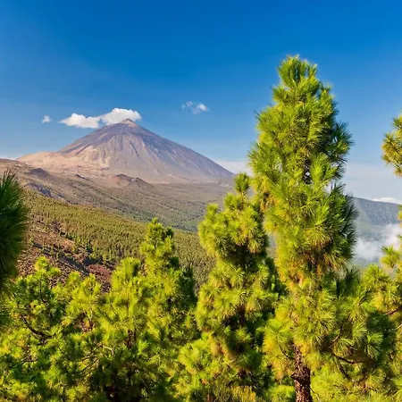Maravilloso Apartamento Mareverde Appartement Costa Adeje (Tenerife)